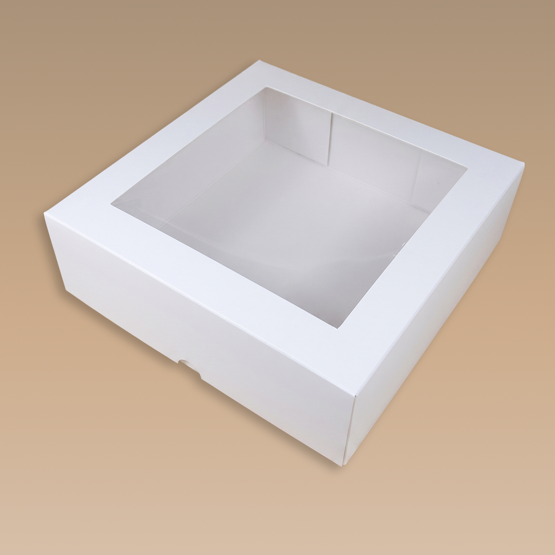 CAJA TAPA MICA 20X20X5