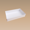 CAJA TAPA MICA  21x14x4