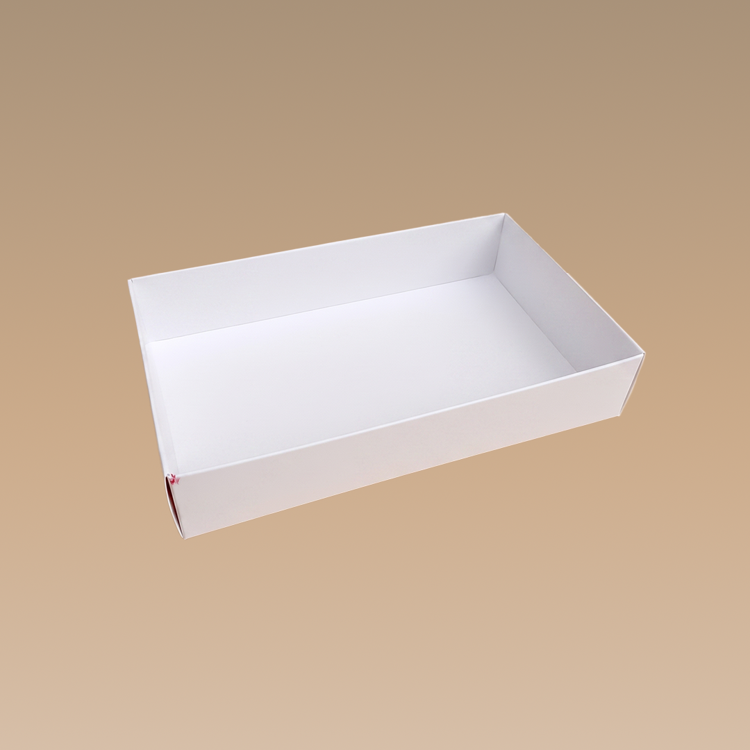 CAJA TAPA MICA  21x14x4