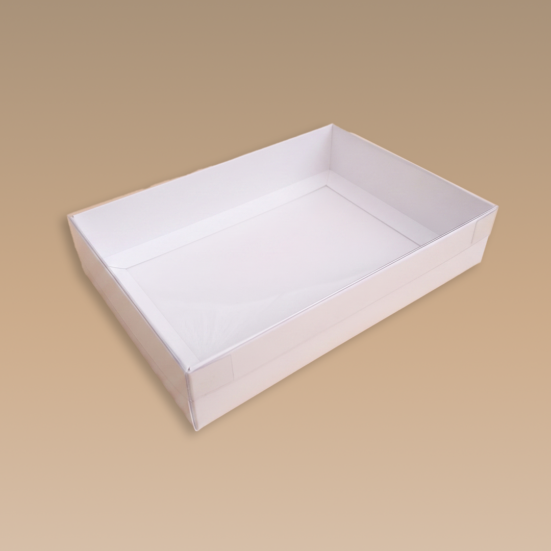 CAJA TAPA MICA 30x20x7 CM