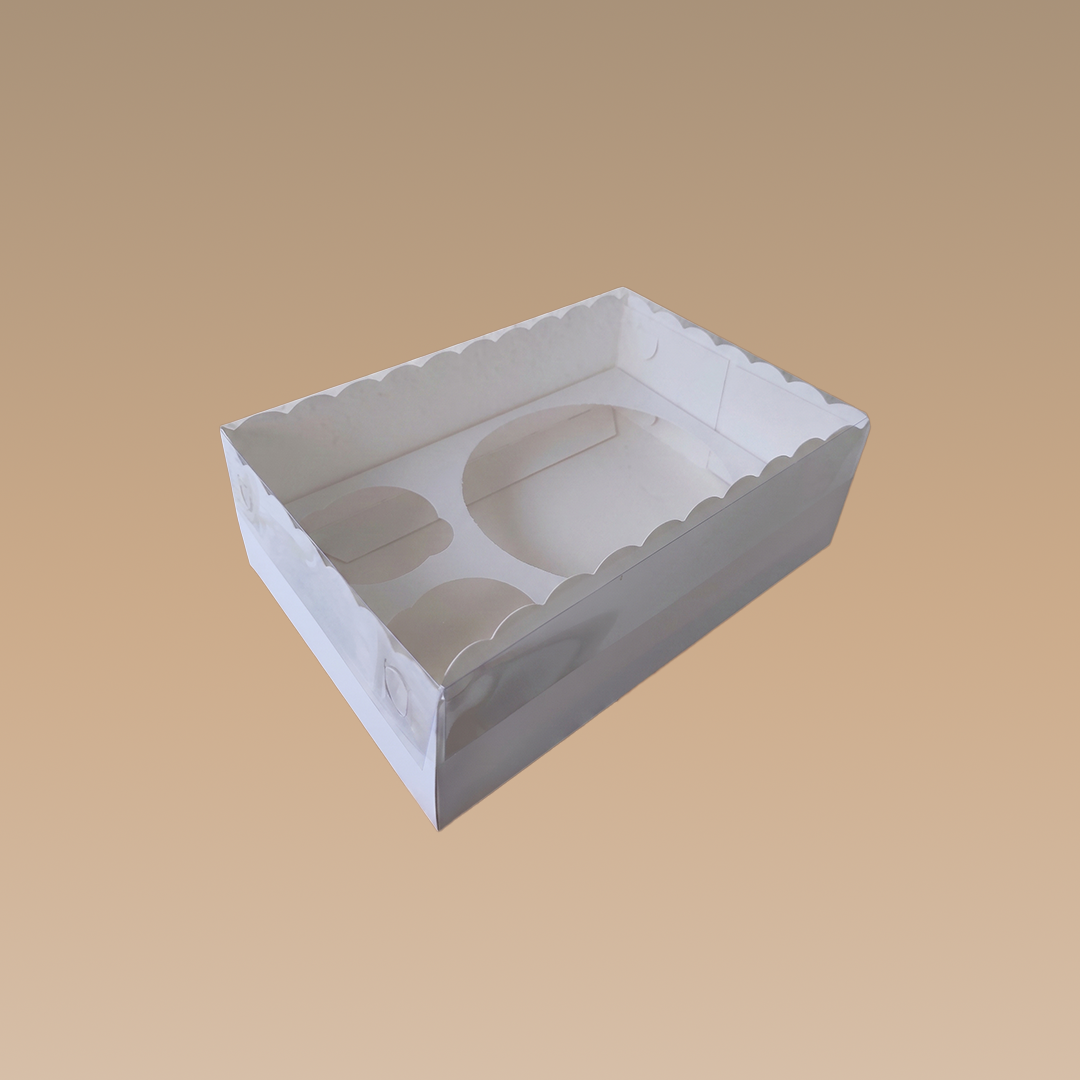 CAJA TAPA MICA 24X16X7,5